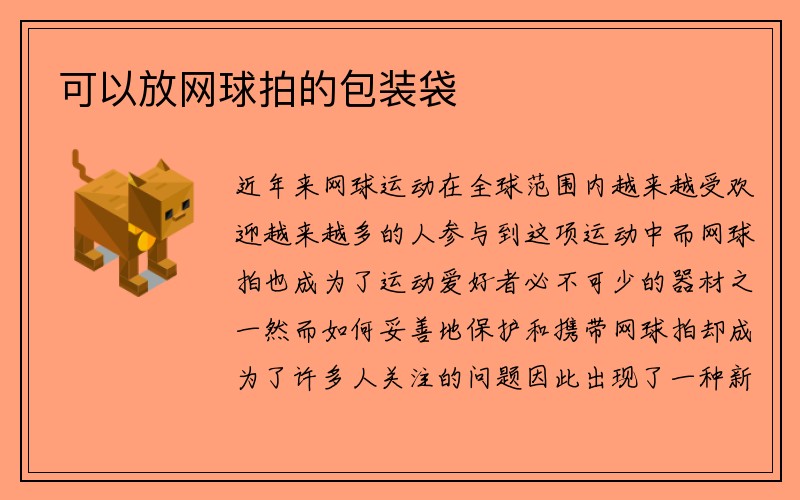 可以放网球拍的包装袋