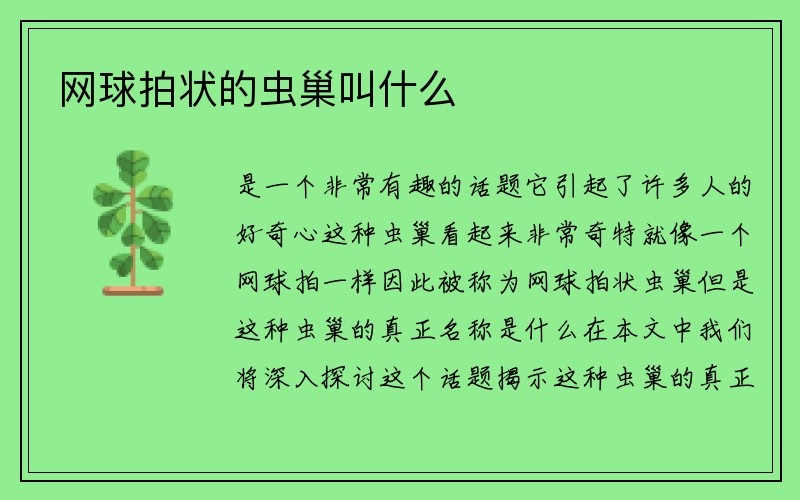 网球拍状的虫巢叫什么